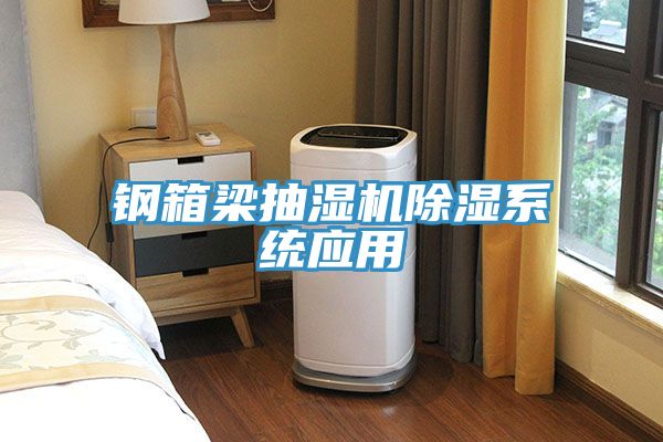 鋼箱梁抽濕機除濕系統應用