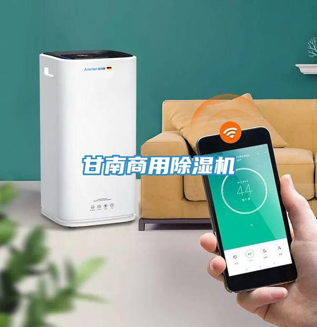 甘南商用除濕機