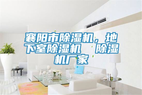 襄陽(yáng)市除濕機，地下室除濕機  除濕機廠(chǎng)家