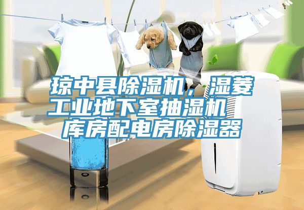 瓊中縣除濕機，濕菱工業(yè)地下室抽濕機  庫房配電房除濕器