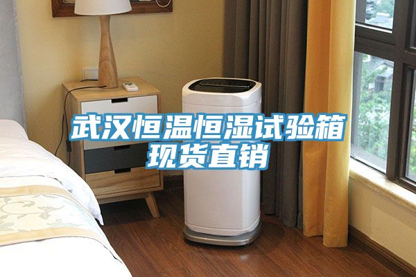 武漢恒溫恒濕試驗箱現貨直銷(xiāo)