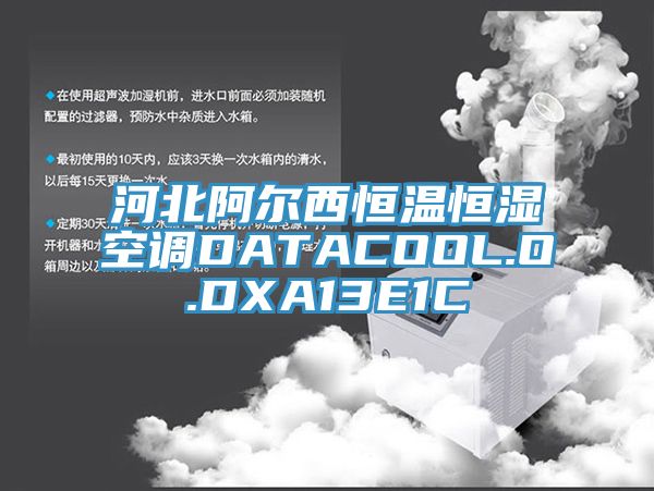 河北阿爾西恒溫恒濕空調DATACOOL.O.DXA13E1C