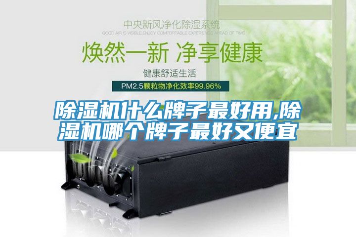 除濕機什么牌子最好用,除濕機哪個(gè)牌子最好又便宜