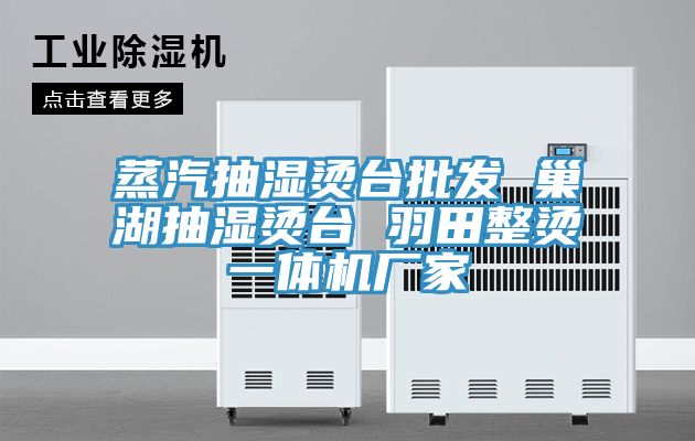 蒸汽抽濕燙臺批發(fā) 巢湖抽濕燙臺 羽田整燙一體機廠(chǎng)家
