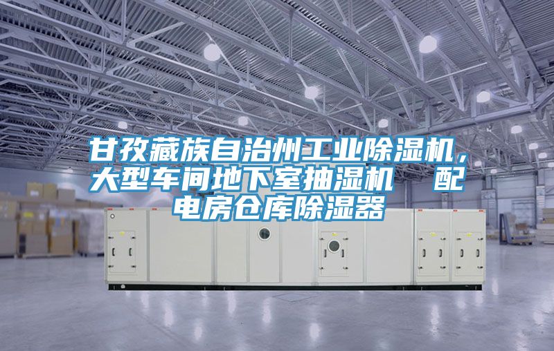 甘孜藏族自治州工業(yè)除濕機，大型車(chē)間地下室抽濕機  配電房倉庫除濕器