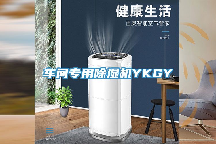 車(chē)間專(zhuān)用除濕機YKGY