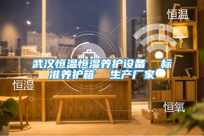 武漢恒溫恒濕養護設備  標準養護箱  生產(chǎn)廠(chǎng)家