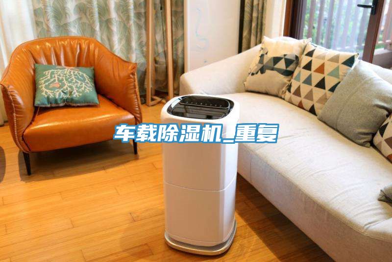 車(chē)載除濕機_重復