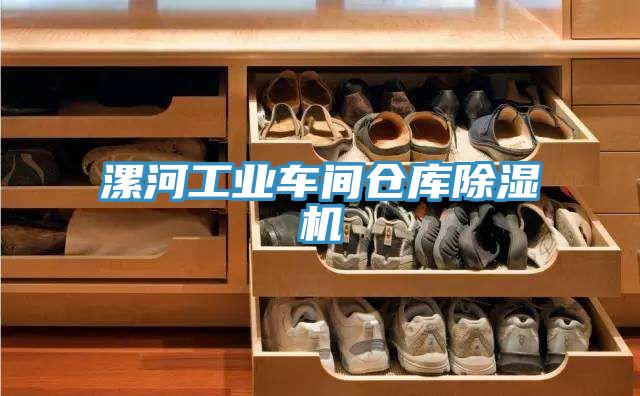 漯河工業(yè)車(chē)間倉庫除濕機