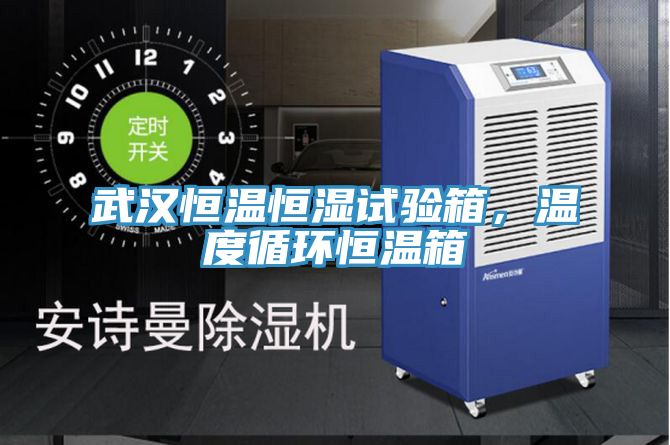武漢恒溫恒濕試驗箱，溫度循環(huán)恒溫箱