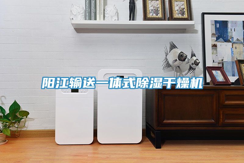 陽(yáng)江輸送一體式除濕干燥機