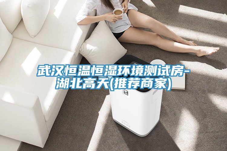 武漢恒溫恒濕環(huán)境測試房-湖北高天(推薦商家)