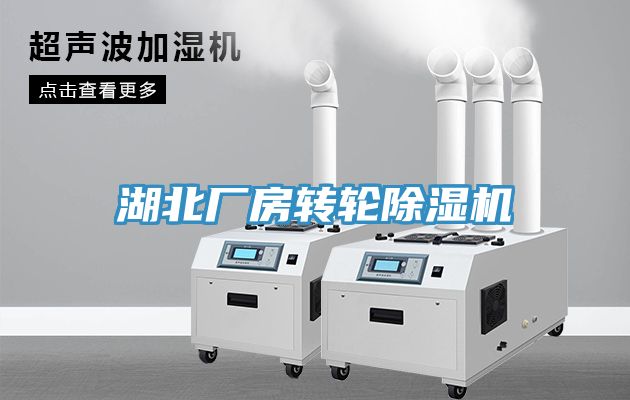 湖北廠(chǎng)房轉輪除濕機