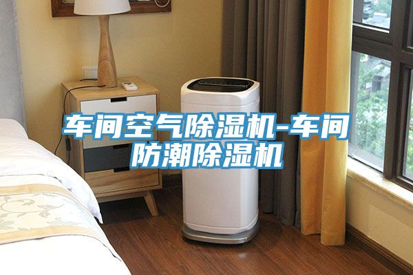 車(chē)間空氣除濕機-車(chē)間防潮除濕機