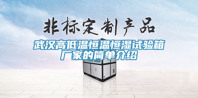 武漢高低溫恒溫恒濕試驗箱廠(chǎng)家的簡(jiǎn)單介紹