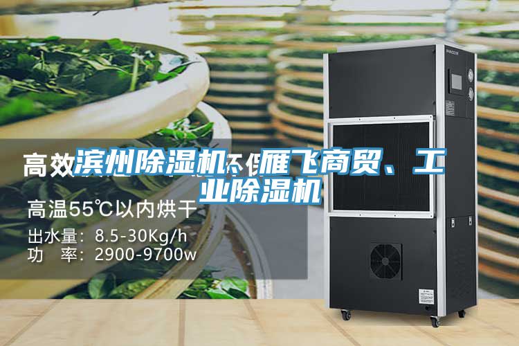 濱州除濕機、雁飛商貿、工業(yè)除濕機