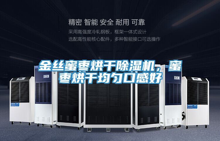 金絲蜜棗烘干除濕機，蜜棗烘干均勻口感好
