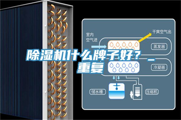 除濕機什么牌子好？_重復