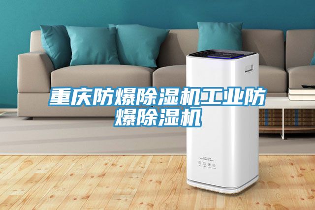 重慶防爆除濕機工業(yè)防爆除濕機