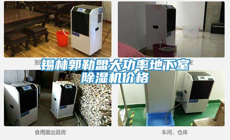 錫林郭勒盟大功率地下室除濕機價(jià)格