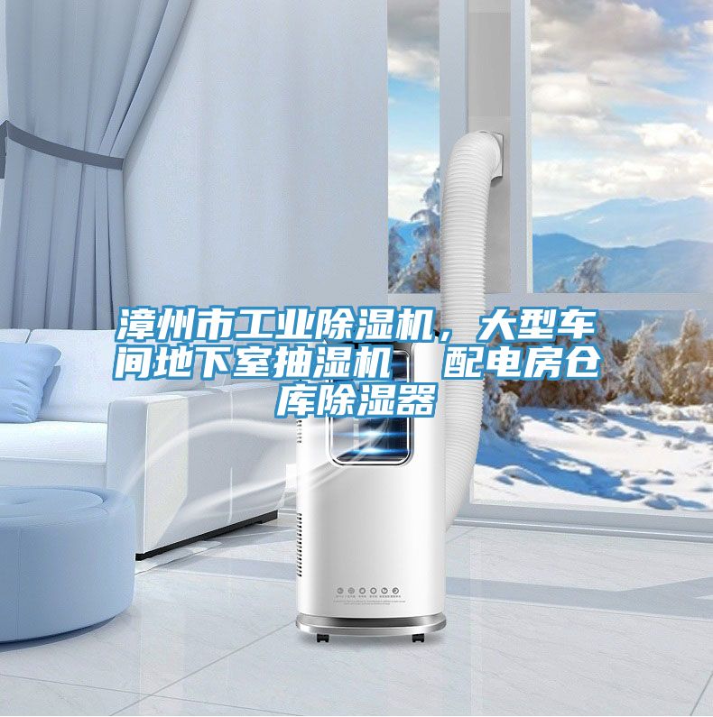 漳州市工業(yè)除濕機，大型車(chē)間地下室抽濕機  配電房倉庫除濕器