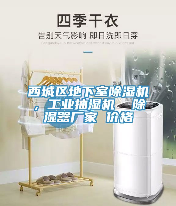 西城區地下室除濕機，工業(yè)抽濕機  除濕器廠(chǎng)家 價(jià)格