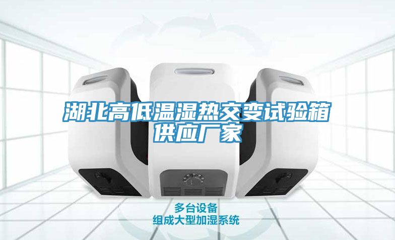 湖北高低溫濕熱交變試驗箱供應廠(chǎng)家