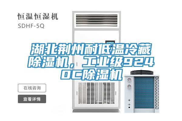 湖北荊州耐低溫冷藏除濕機，工業(yè)級9240C除濕機