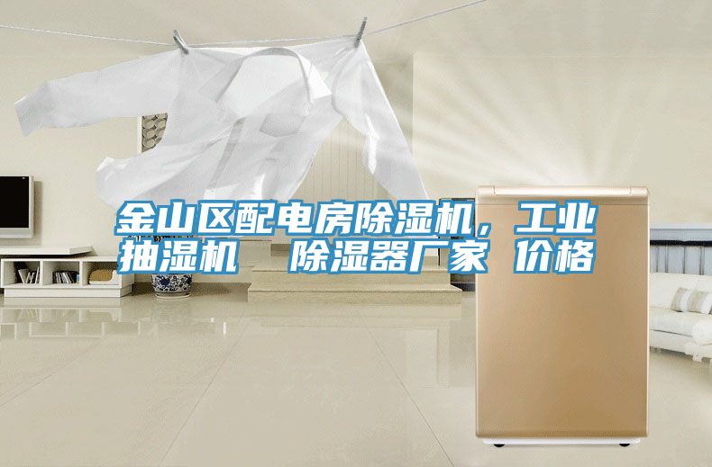 金山區配電房除濕機，工業(yè)抽濕機  除濕器廠(chǎng)家 價(jià)格