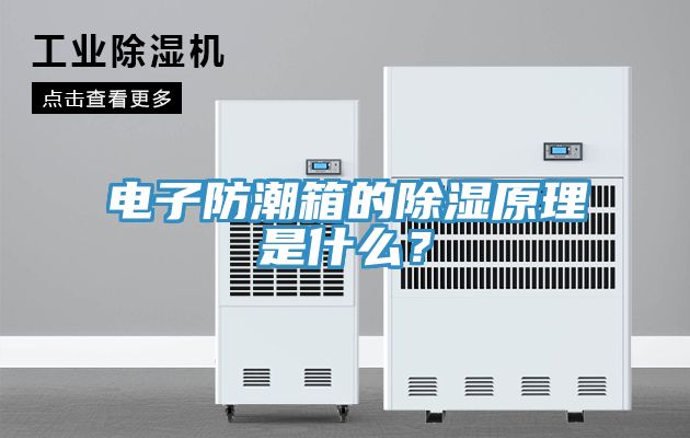 電子防潮箱的除濕原理是什么？
