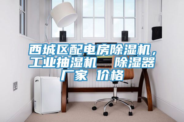 西城區配電房除濕機，工業(yè)抽濕機  除濕器廠(chǎng)家 價(jià)格