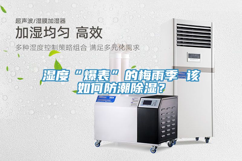 濕度“爆表”的梅雨季 該如何防潮除濕？