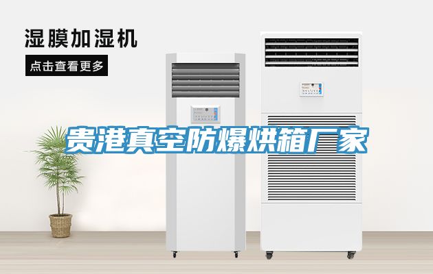 貴港真空防爆烘箱廠(chǎng)家