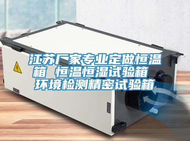 江蘇廠(chǎng)家專(zhuān)業(yè)定做恒溫箱 恒溫恒濕試驗箱 環(huán)境檢測精密試驗箱