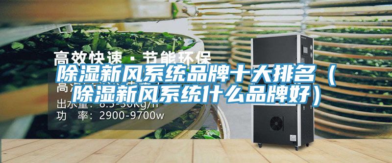 除濕新風(fēng)系統品牌十大排名（除濕新風(fēng)系統什么品牌好）
