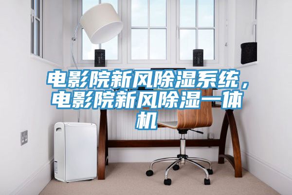 電影院新風(fēng)除濕系統，電影院新風(fēng)除濕一體機