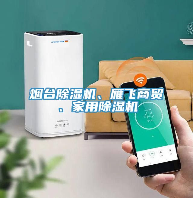 煙臺除濕機、雁飛商貿、家用除濕機