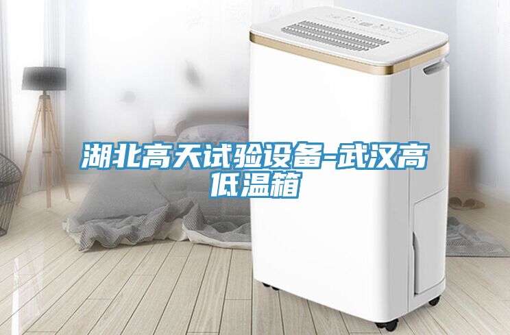湖北高天試驗設備-武漢高低溫箱