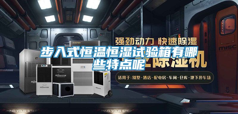 步入式恒溫恒濕試驗箱有哪些特點(diǎn)呢
