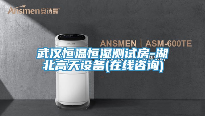 武漢恒溫恒濕測試房-湖北高天設備(在線(xiàn)咨詢(xún))