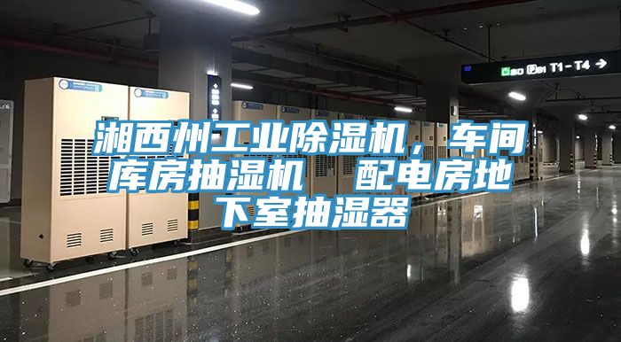 湘西州工業(yè)除濕機，車(chē)間庫房抽濕機  配電房地下室抽濕器