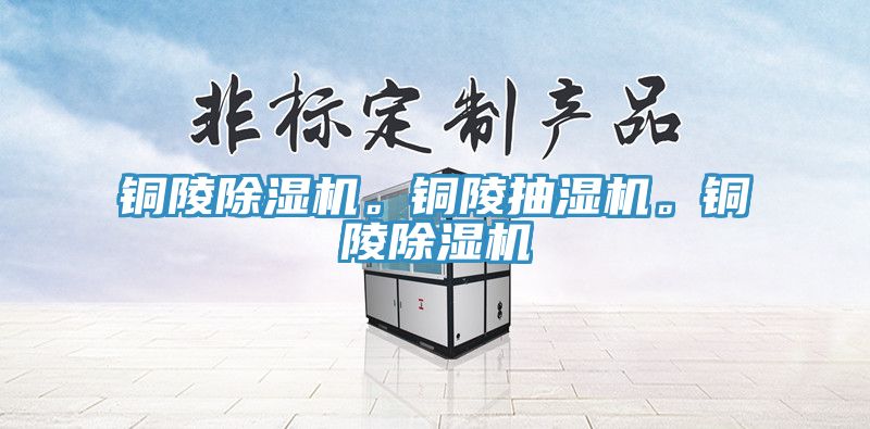 銅陵除濕機。銅陵抽濕機。銅陵除濕機