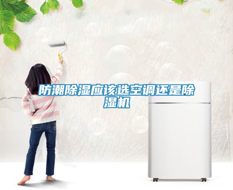 防潮除濕應該選空調還是除濕機