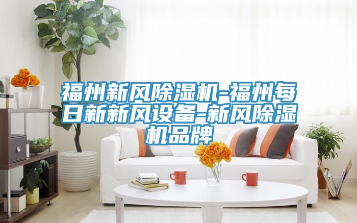 福州新風(fēng)除濕機-福州每日新新風(fēng)設備-新風(fēng)除濕機品牌