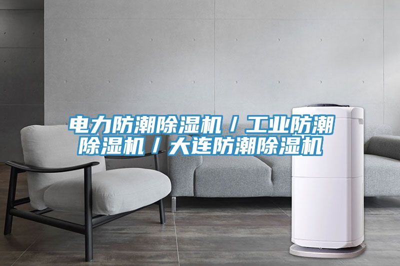 電力防潮除濕機／工業(yè)防潮除濕機／大連防潮除濕機