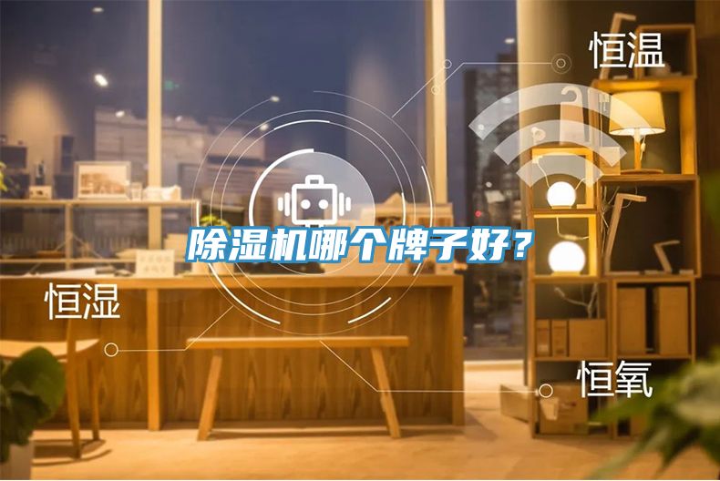 除濕機哪個(gè)牌子好？