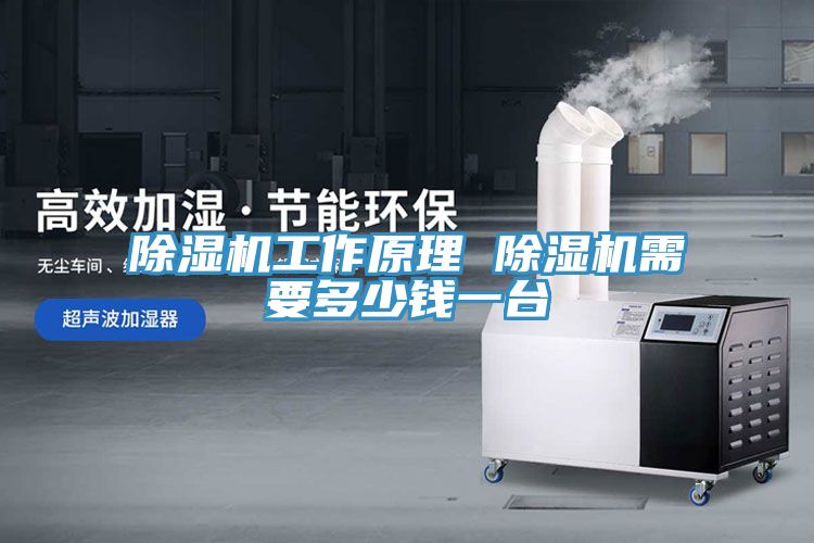 除濕機工作原理 除濕機需要多少錢(qián)一臺