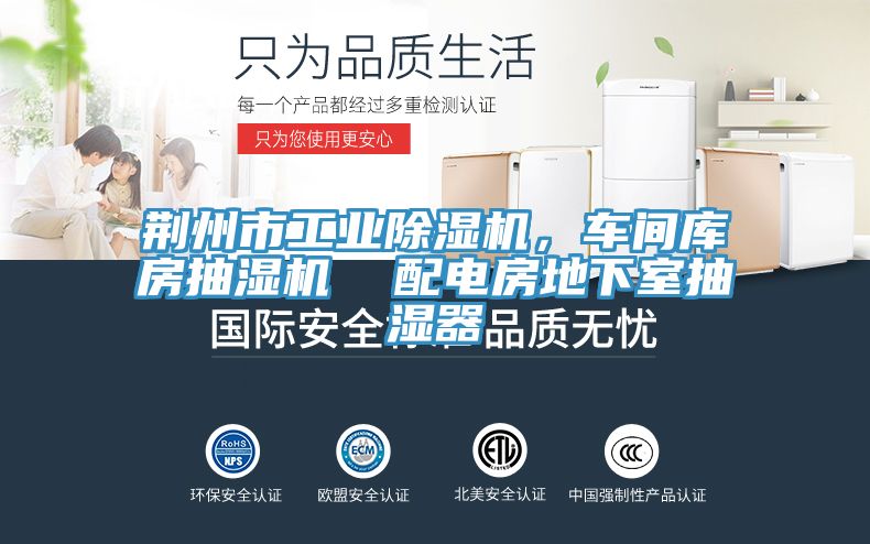 荊州市工業(yè)除濕機，車(chē)間庫房抽濕機  配電房地下室抽濕器