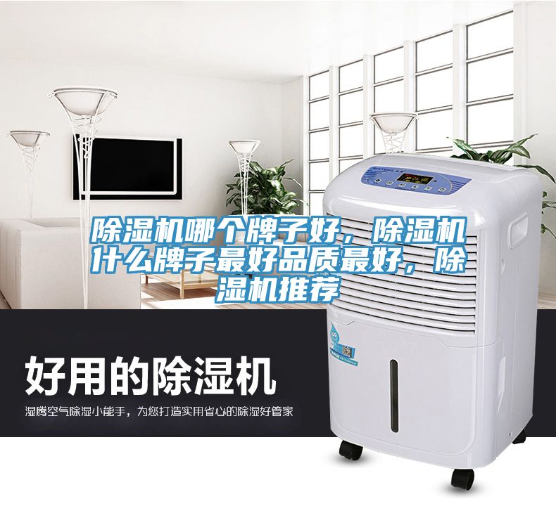除濕機哪個(gè)牌子好，除濕機什么牌子最好品質(zhì)最好，除濕機推薦