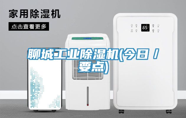 聊城工業(yè)除濕機(今日／要點(diǎn))